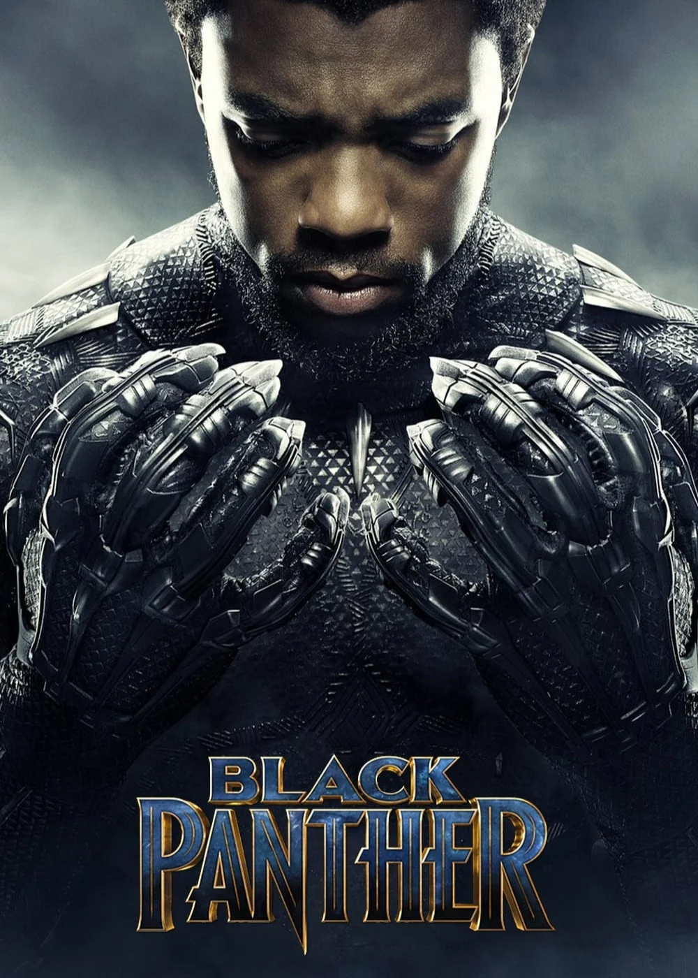 Chiến Binh Báo Đen - Black Panther